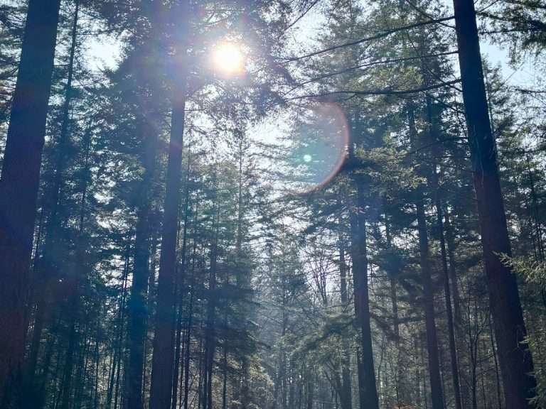 Putterbos-Gemeente-Putten