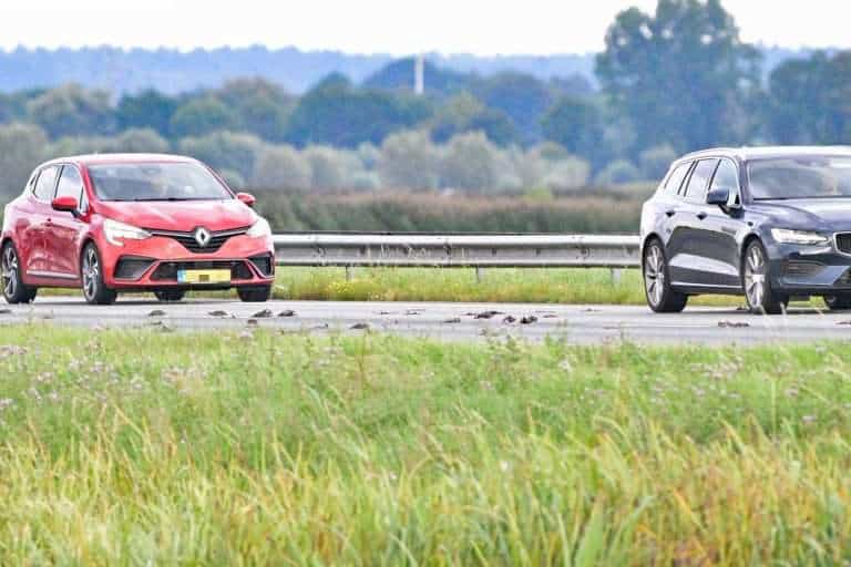 Spreeuwen-A28-aangereden-september-2025