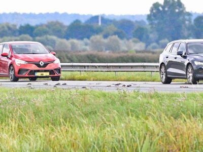 Spreeuwen-A28-aangereden-september-2025