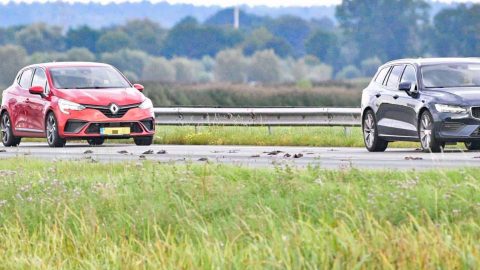 Spreeuwen-A28-aangereden-september-2025