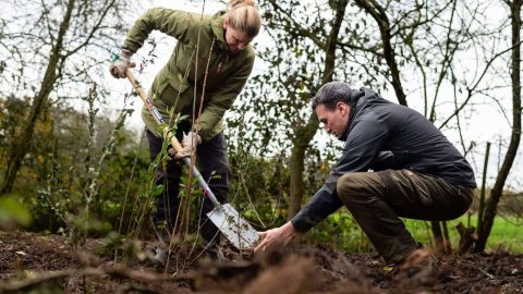 Aanplanting van Stichting Landschapsbeheer Gelderland Rozendaal bij landgoed Ruimzicht in Doornenburg
(Photo by Marcel de Bont)