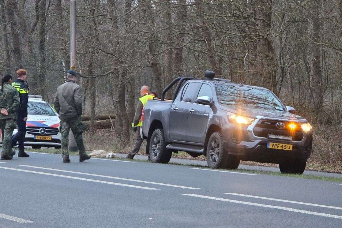 aanrijding-wolf-n303-putten-ermelo-februari-2026-foto-07