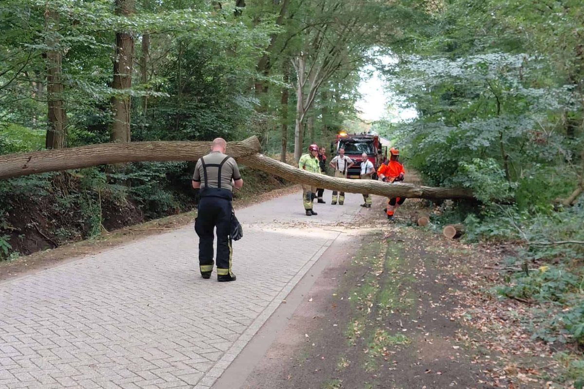 Boom valt over vernieuwde Beekweg: brandweer zaagt weg weer vrij
