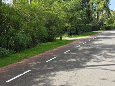 Foutje van gemeente blijft doorwerken: recreatiewoning in Putten wordt definitief kleine woning