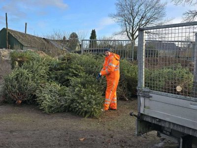 inzamelen-stapel-kerstbomen-putten