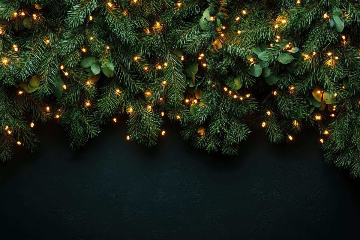 A close-up view of evergreen branches adorned with glowing lights, set against a dark backdrop, perfect for holiday-themed designs.