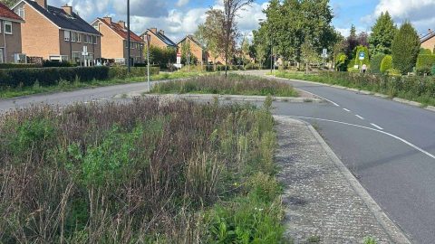 N303 dicht, bewoners Voorthuizerstraat merken direct verschil: ‘Aangenaam verrast door de rust’ 2