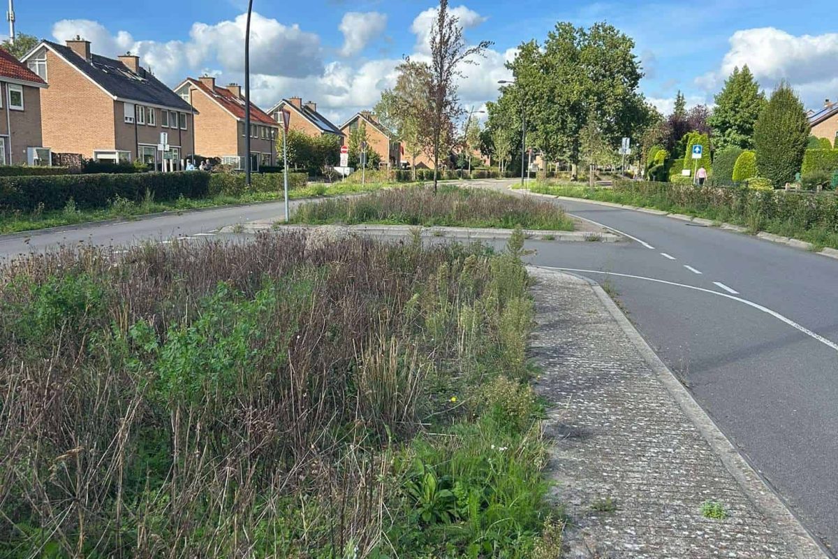 N303 dicht, bewoners Voorthuizerstraat merken direct verschil: ‘Aangenaam verrast door de rust’ 2