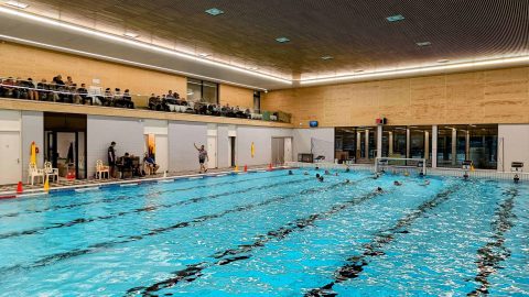 waterpolo-putten-de-zanderij-zwembad-ermelo