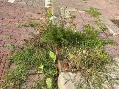 wij-putten-onderhoud-wijk-div-locaties-Putten-zuid-oost-en-noord-oost-1
