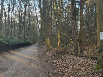 wolf-valt-hond-aan-in-Putten