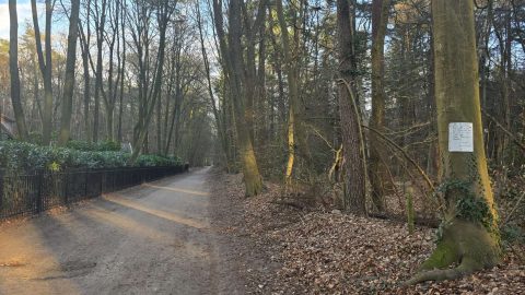 wolf-valt-hond-aan-in-Putten