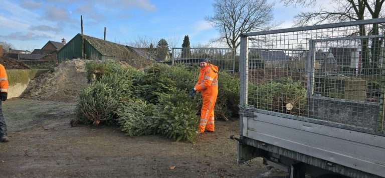 inzamelen-stapel-kerstbomen-putten