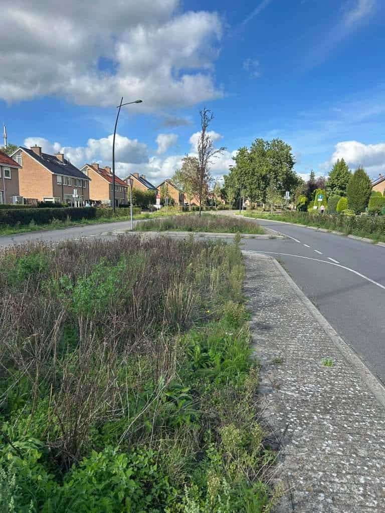 N303 dicht, bewoners Voorthuizerstraat merken direct verschil: ‘Aangenaam verrast door de rust’ 2