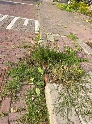 wij-putten-onderhoud-wijk-div-locaties-Putten-zuid-oost-en-noord-oost-1