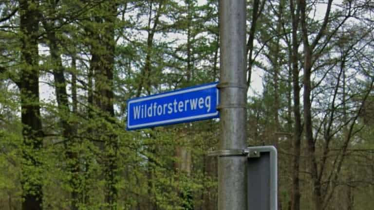 Wildforsterweg straatbord in Putten omgeven door bomen.