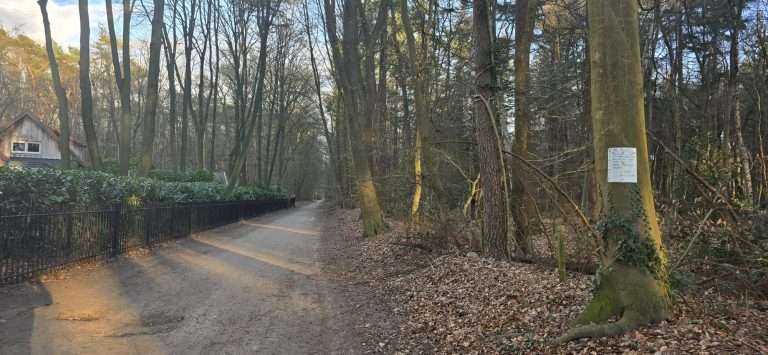 wolf-valt-hond-aan-in-Putten